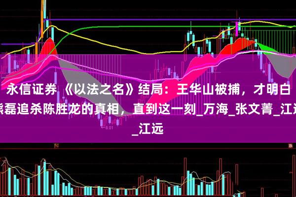 永信证券 《以法之名》结局：王华山被捕，才明白熊磊追杀陈胜龙的真相，直到这一刻_万海_张文菁_江远