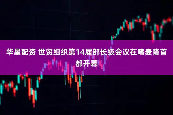 华星配资 世贸组织第14届部长级会议在喀麦隆首都开幕